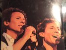 Simon and Garfunkel - The Concert in Central Park (Vinyl 2x LP Record Album) 2BS