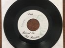 Bouncing Souls / Weston Split 7
