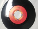 Chick Safari / Hawk - Bill Haley - Rock 45 Warner Bros. Records