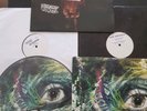 Pendulum vinyl bundle (hold your colour, voodoo people, slam, tarantula,...