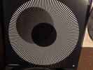 Sundara Karma : Youth Is Only Ever Fun in Retrospect VINYL