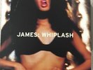 Whiplash James UK LP vinyl record (Sit Down, Laid) Britpop Indie