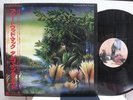 FLEETWOOD MAC / TANGO IN THE NIGHT, RARE PROMO SAMPLE JAPAN ORIG. LP w/OBI NM