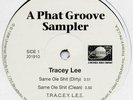 BIG L TRACEY LEE PHAT GROOVE SAMPLER SCHOOL DAYZ CLINIC DEVILS SON
