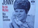 Jenny Johnson, No, No, My Boy, Hey Mister Sunshine, 1965