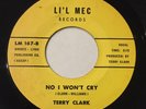 TERRY CLARK 