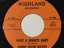 JOHNNY GUITAR WATSON 