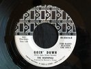 Waphphle, Elektra 45616, Goin' Down & I Want You, Good garage
