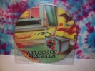 FLOCK OF SEAGULLS S/T 1982 LP Limited UK Picture Disc EX New Wave I Ran D.N.A.