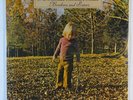 ALLMAN BROTHERS BAND Brothers And Sisters LP on Capricorn sealed