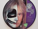 KISS PETER CRISS CAT #1 PICTURE DISC OFFICIAL IMPORT FROM SWEDEN RARE