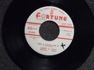 northern soul ANDRE WILLIAMS/GINO PARKS Put a Chain On it FORTUNE 847 LISTEN