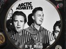 Arctic Monkeys - R U Mine? Mega  Rare 12