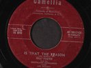 BILL FLOYD: It's A Shame / Is That The Reason 45 (wol, scarce) Country