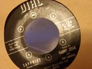 Danny Zella and the zell rocks - Sapphire & You Made Me Blue rare rockabilly 45