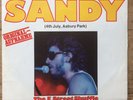 Bruce Springsteen      Sandy / The E Street Shuffle      CBS 3512    Promo Vinyl