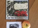Stone Roses I Am The Resurrection 7” Vinyl Single Manchester Brown Squire