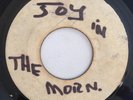 GAYLADS - JOY IN THE MORNING - BLANK ( ROCKSTEADY 7 )