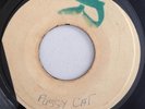 KID GUNGO - HOLD THE PUSSY / KING CCANNON - WHA PEN - BLANK ( SKINHEAD 7 )