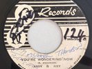 ANDY & JOEY - YOU'RE WONDERING NOW - C&N ( SKA 7 )