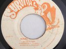 BLUE FLAME - MAKE A TURN - SURVIVAL ( ROOTS 7 )