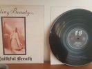 Faithful Breath - Fading Beauty LP 1973 AA 6963 233