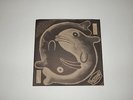 Sewer Trout Flawless Record PUNK ROCK R18663