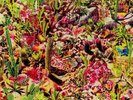GIANT SAND - Returns To Valley Of Rain - Vinyl (LP + MP3 download code)