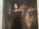 THIS MORTAL COIL ?– IT'LL END IN TEARS VINYL LP                             #CR#