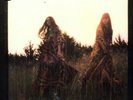 First Aid Kit - Lion's Roar (Vinyl Used Very Good)