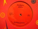 BOB MARLEY & THE WAILERS Rainbow Country DISCO Roots Reggae 12