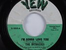 Northern Soul 45 INTRIGUES I'm Gonna Love You YEW HEAR