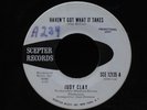 Judy Clay-Haven't Got What It Takes-Scepter 12135-WLP PROMO NORTHERN RARE