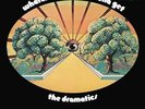 DRAMATICS-WHATCHA SEE IS WHATCHA GET (US IMPORT) VINYL LP NEW