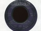 THE SHEIKS Com on Back on Amy R&B Doo Wop 45 Hear