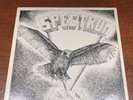 Spectrum - First Flight LP - Rare Private Press Vinyl LP Record