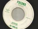 GARAGE ROCKABILLY HALLOWEEN- TUMBLERS-  SCREAM  -HEAR -1965 POCONO