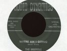 THE BRISTOLS Where Am I Going A Girl Like Her Audio Dynamic Garage Soul 45 Hear