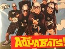 The Aquabats Fury Of The Aquabats Blue Vinyl Record Autographed  Sold Out