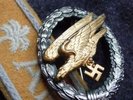 german luftwaffe para badge ww2