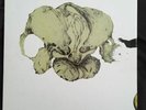 Coil Ape Of Naples New Backwards 180g Black Vinyl 4LP Box Set Very RARE