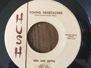 EXC 45 Ben Joe Zeppa Young Heartaches/Ridin' Herd Malabar Music Hush Records