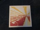 Retirement Party - Somewhat Literate 12” Vinyl TEST PRESS