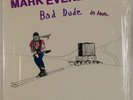 MARK EVERETT: Bad Dude in Love EELS 1st Press Private Holy Grail Vinyl LP NM-