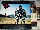 Pink Floyd ?– Delicate Sound Of Thunder -   BRAZIL PRESS - W/HYPE 2LP