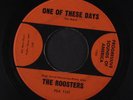 ROOSTERS: One Of These Days / You Gott Run 45 (clean VG-, plays fine)