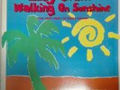 LP Eddy Grant Walking On Sunshine - The Very Best Of Eddy Grant NEAR MINT