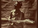 Hound Dog Taylor & the Houserockers - Hound Dog Taylor & the Houseroc...