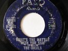 THE IDEALS-WHAT'S THE MATTER WITH YOU SAM ON PASO NORTHERN 45-HEAR