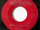 MISTER RUFFIN-BRING IT ON BACK ON SPARK R&B 45-STRONG VG+, HEAR